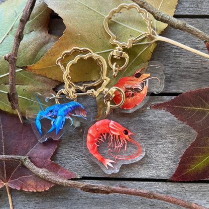Blue Lobster + Prawn // 1.5" Acrylic Keychains