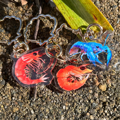 Blue Lobster + Prawn // 1.5" Acrylic Keychains