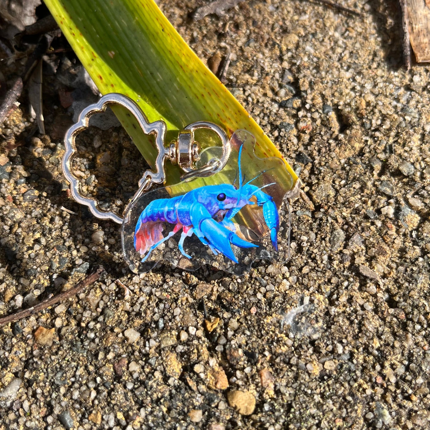 Blue Lobster + Prawn // 1.5" Acrylic Keychains