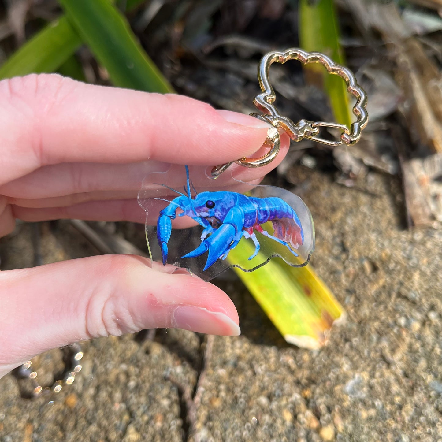 Blue Lobster + Prawn // 1.5" Acrylic Keychains