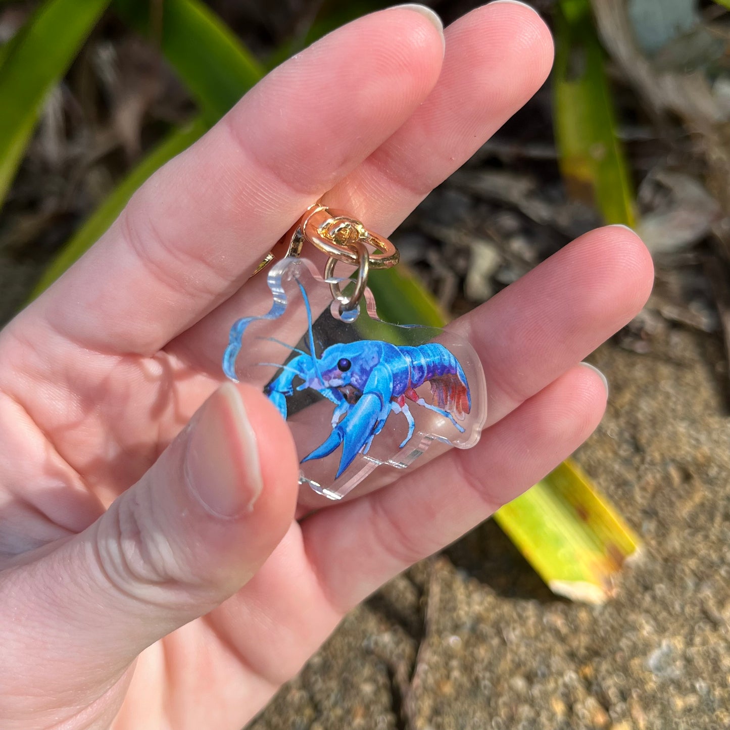Blue Lobster + Prawn // 1.5" Acrylic Keychains