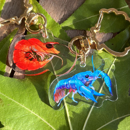 Blue Lobster + Prawn // 1.5" Acrylic Keychains